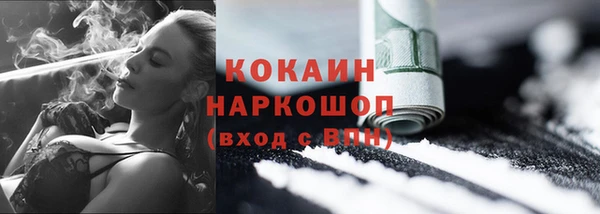 МДПВ Нея
